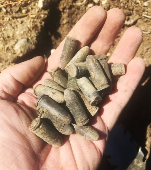 Metal Detecting Finds From Parks