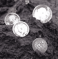 Silver Coins Metal Detecting